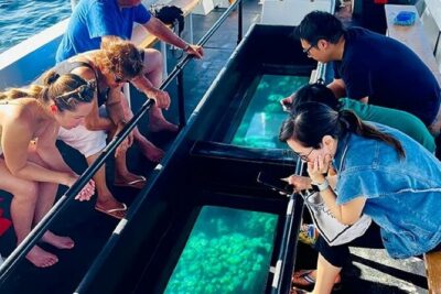 2 Stop Reef Snorkel and Glass Bottom Boat Adventure