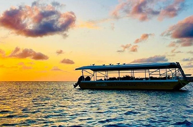 2 Stop Reef Snorkel and Glass Bottom Boat Adventure - Meet Luis and Brent, and enjoy the pace of a small group