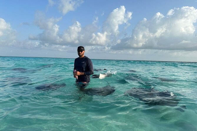 3 Hour Jet ski Adventure Swim with Rays and More - Stingray City, the shallow sandbar moment