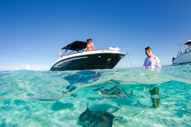 3 Hour Private Charter on Stingray City with Snorkeling - Key points to know before you go