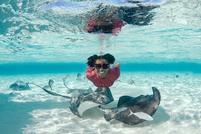 3 Hour Private Charter on Stingray City with Snorkeling - Snorkeling near Rum Point or Coral Gardens: see the fish without overthinking it