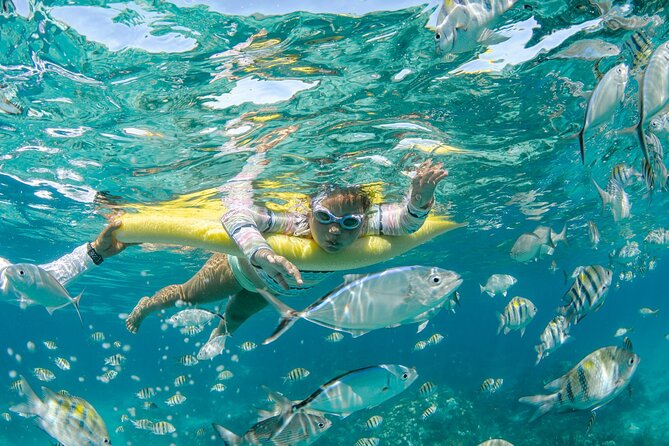 3 Hour Private Charter on Stingray City with Snorkeling - What’s included, and what you should bring