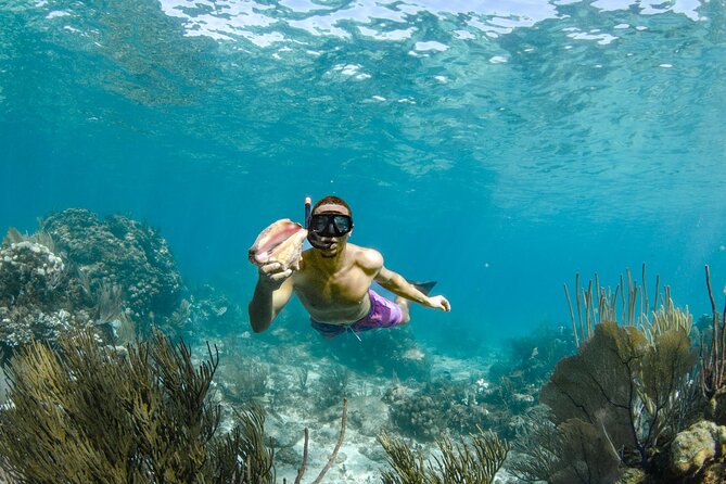4 hour Private Boat charter to Stingray City, Snorkeling and More - Stop one: onboard Sea Cayman Boat Charters and your crew’s setup