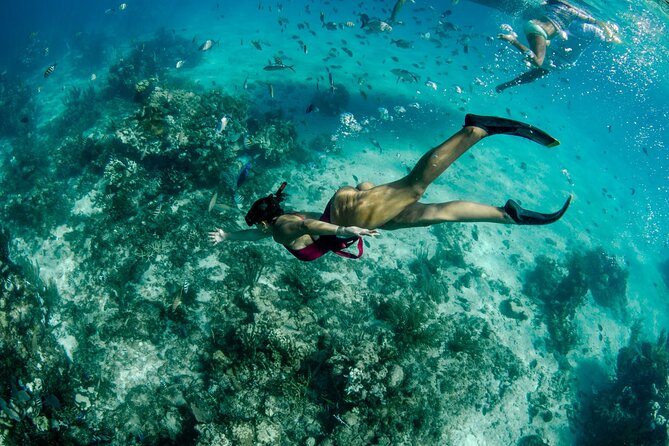 4 hour Private Boat charter to Stingray City, Snorkeling and More - Starfish Beach: a quieter payoff after the main hotspots