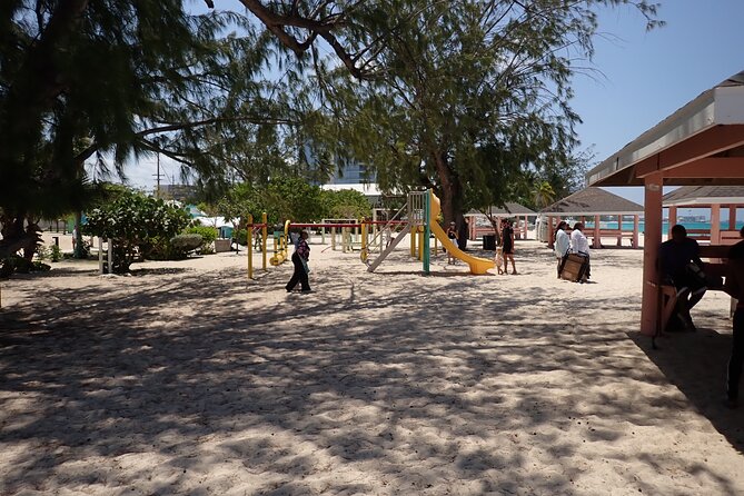 4-Stop Stingray, Snorkel, Star Fish & 7 Mile Beach (Family Owned) - Coral Gardens Snorkeling: Calm-Water Reef Time With Fins and a Safety Net