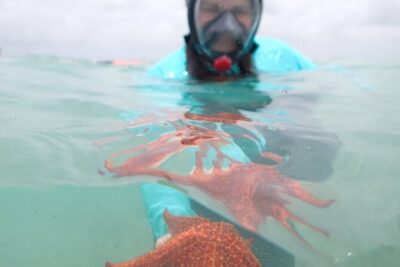 4-Stop Stingray, Snorkel, Star Fish & 7 Mile Beach (Family Owned)