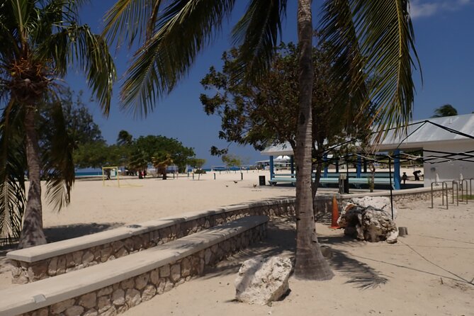 4-Stop Stingray, Snorkel, Star Fish & 7 Mile Beach (Family Owned) - Who This Tour Fits Best (and Who Might Want to Rethink It)