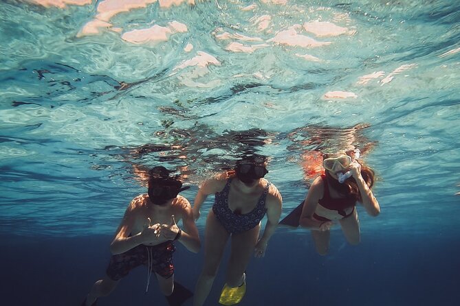 Acquarius Stingray City and Snorkel Tours - Starfish Point: Quick, Fun Photos, and Not Always a Fish Show
