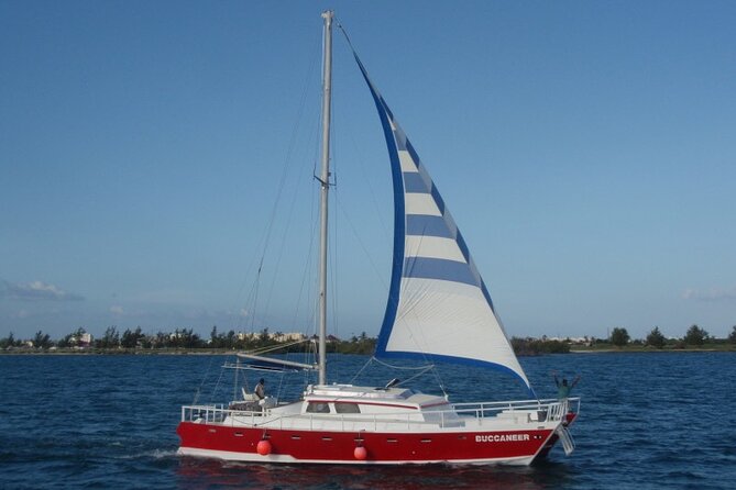 Acquarius Stingray City and Snorkel Tours - Final Call: Should You Book Acquarius Stingray City and Snorkel Tours?