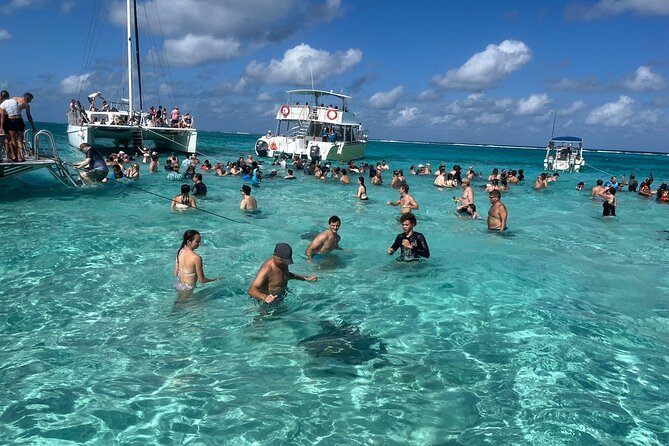 Aquaholic Charters: Private 1.5 - 4Hrs Cayman Luxury Adventure - Reef Snorkeling at Coral Garden: Comfort Plus Real Reef Time
