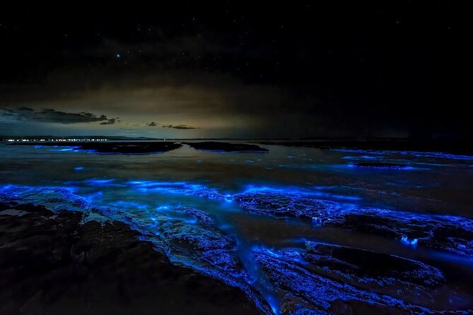 Bioluminescent Bay Adventure in Grand Cayman - The glow happens in your hands, literally