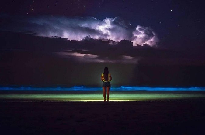 Bioluminescent Bay Adventure in Grand Cayman - Stop 1: Starfish Point and the upside-down jellyfish lesson
