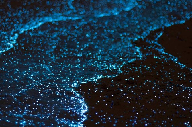 Bioluminescent Bay Adventure in Grand Cayman - Photos and expectations: how to get the best results
