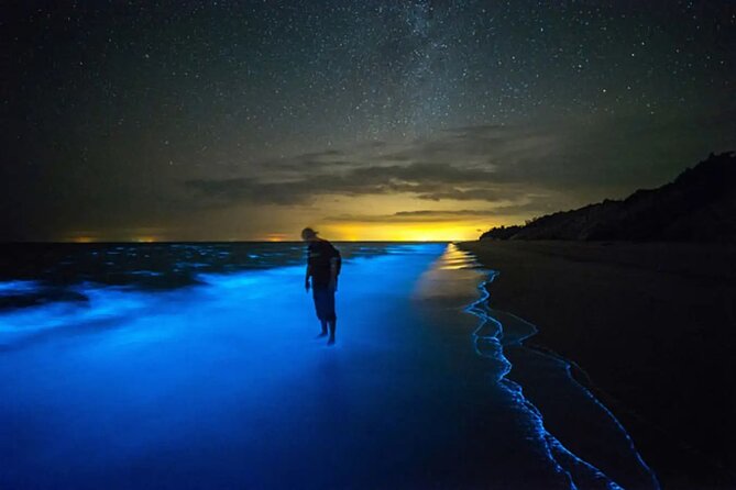 Bioluminescent Bay Adventure in Grand Cayman - Price and what you actually get for $125.10