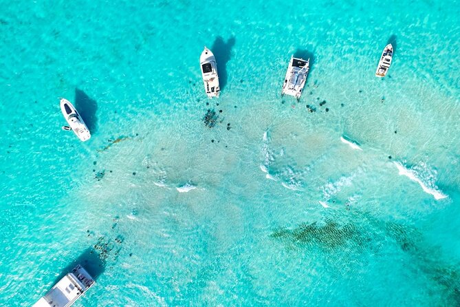 Cayman Adventure: Starfish Point, Stingray City and Coral Gardens - Starfish Point: Where the Details Matter