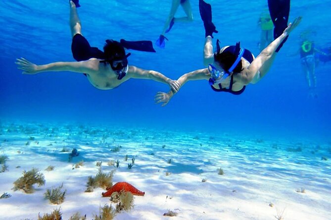Cayman Adventure: Starfish Point, Stingray City and Coral Gardens - Catamaran Day Flow: Small-Group Feel and Crew Energy