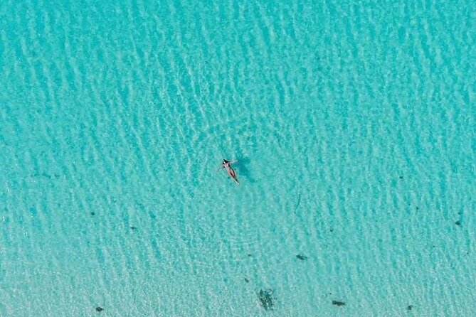 Cayman Adventure: Starfish Point, Stingray City and Coral Gardens - Getting There and Back: Cruise Tenders and Seven Mile Beach Pickup