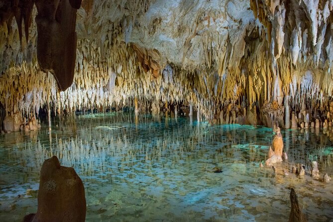 Cayman Combo Tour: Stingrays, Starfish Point and Crystal Caves - Key highlights