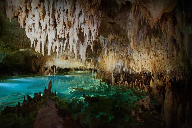Cayman Combo Tour: Stingrays, Starfish Point and Crystal Caves - The morning flow: how the timing and pacing really feel