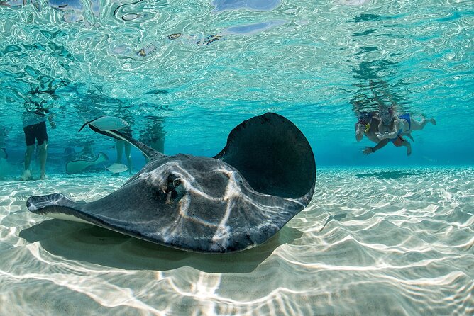 Cayman Combo Tour: Stingrays, Starfish Point and Crystal Caves - Getting picked up in Grand Cayman, and where to meet