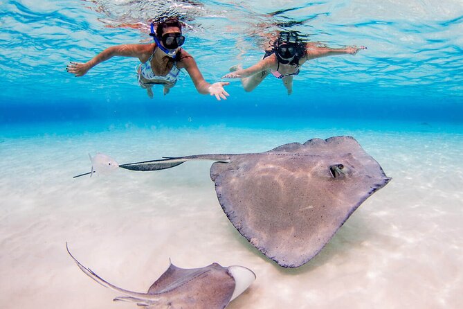 Cayman Combo Tour: Stingrays, Starfish Point and Crystal Caves - Small-group reality: the comfort factor with up to 30 people