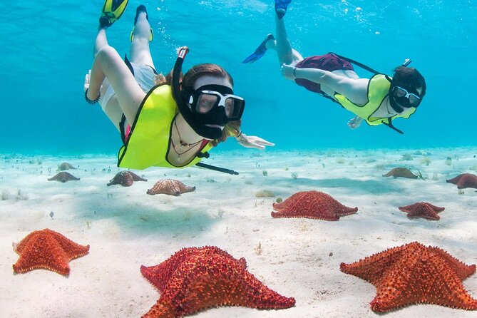 Cayman Combo Tour: Stingrays, Starfish Point and Crystal Caves - Crystal Caves: stalactites, stalagmites, and the pirate stories
