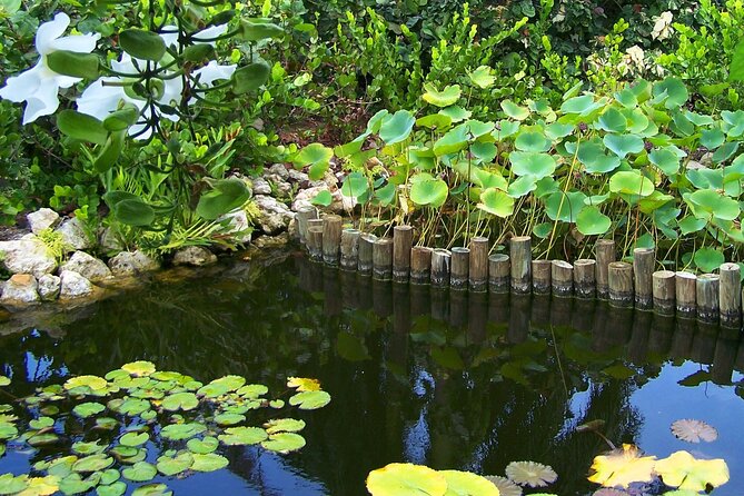 Cayman Crystal Caves & Pedro St James Castle or Botanical Garden - Inclusions that actually matter: admissions and A/C transport