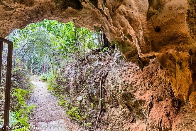 Cayman Crystal Caves Tour in Grand Cayman - Crystal Caves walkthrough: stalagmites, stalactites, and photo-ready chambers