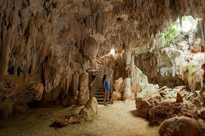 Cayman Crystal Caves Tour in Grand Cayman - Tropical forest stroll: local plants and animals in the heat of the day