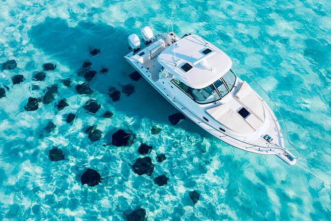 Cayman Private Luxury Charters - Stingray City, Snorkel, & More - Key Things I’d Pay Attention To