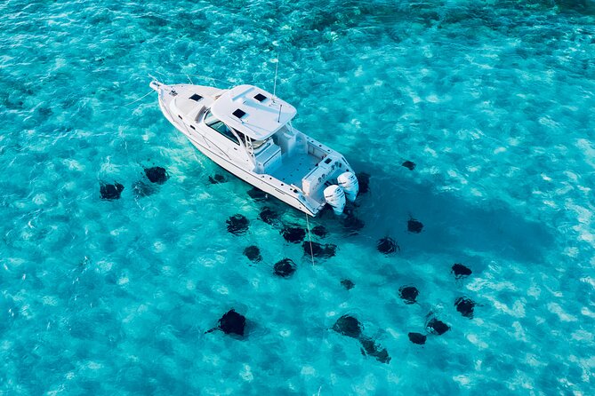 Cayman Private Luxury Charters - Stingray City, Snorkel, & More - Private Cayman Boat Day Built Around Stingray City