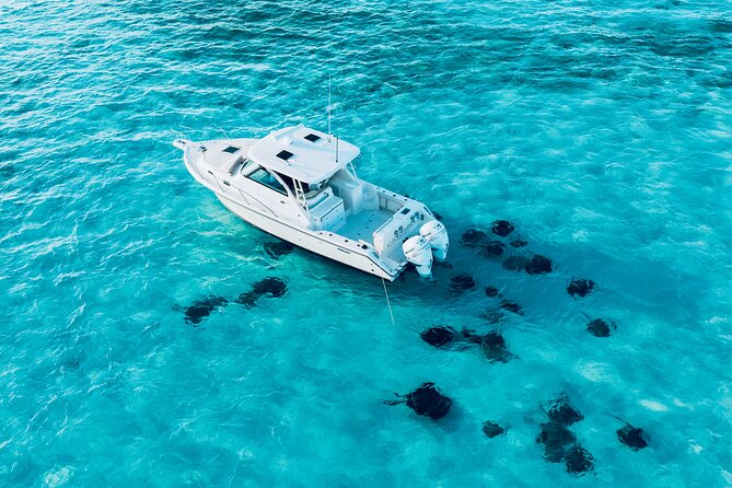 Cayman Private Luxury Charters - Stingray City, Snorkel, & More - Kaibo or Rum Point Lunch: Timing Rules You Can Actually Plan Around