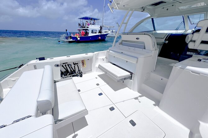 Cayman Private Luxury Charters - Stingray City, Snorkel, & More - Optional Evening Magic: Bioluminescent Bay When Timing Fits