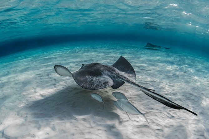 Cayman Ultimate Tour: Stingrays, Starfish Point and Crystal Caves - A simple packing list that prevents common mistakes