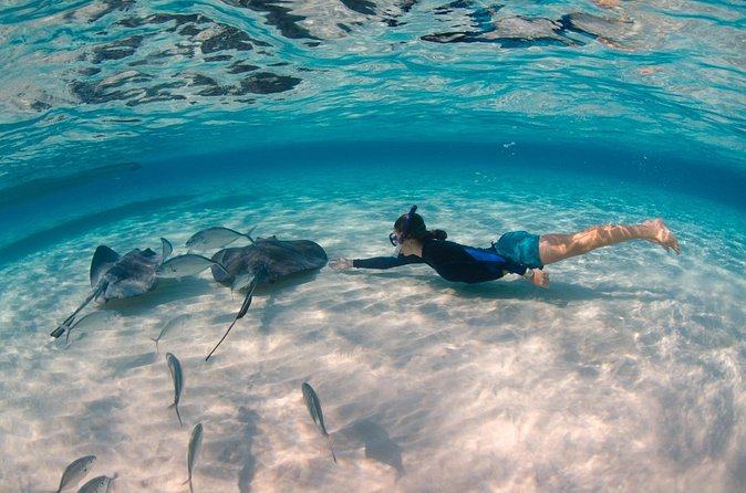 CaymanVisitor Hide & Seek GeoTour Self-Drive Tour - Value check: $12.50 per group is cheap, but costs can add up