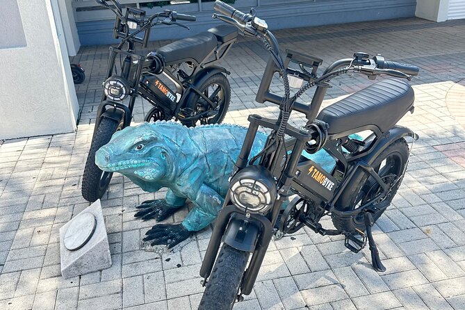 Coastal E-Bike Adventure: Full-Day Self-Guided Tour Grand Cayman - What Makes This Grand Cayman E-Bike Day Special