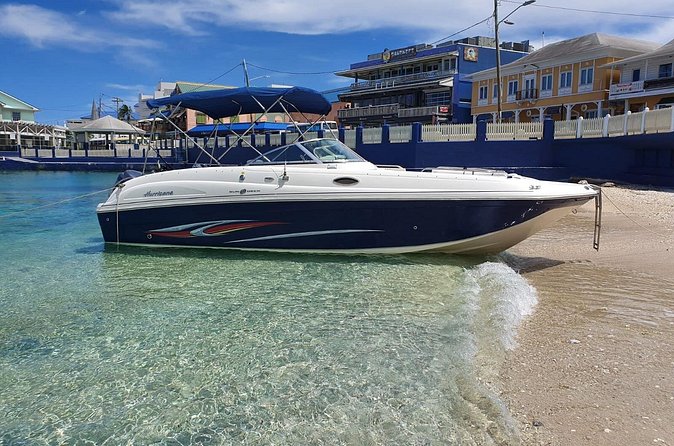 Full-Day Private Stingray City Snorkeling and Starfish Beach Tour - Stingray City: Classic, Calm, and Built for Interaction