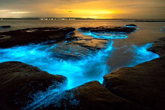 Grand Cayman Bioluminescence Adventure - What the crew does to keep the night swim feeling safe