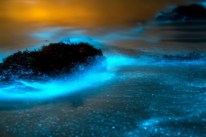 Grand Cayman Bioluminescence Adventure - Timing, moon phases, and why your start time can shift