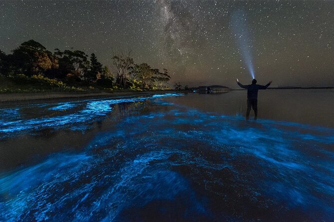 Grand Cayman Bioluminescence Adventure - Price and value: what $143.10 really covers