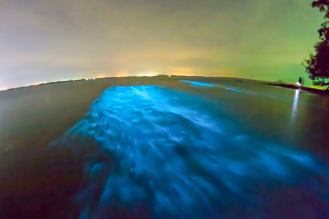 Grand Cayman Bioluminescence Adventure - What to bring so the night goes smoothly