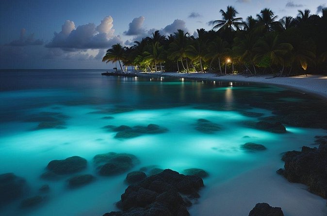 Grand Cayman Bioluminescence Experience - What to Bring (and What to Leave) for a Smooth Night