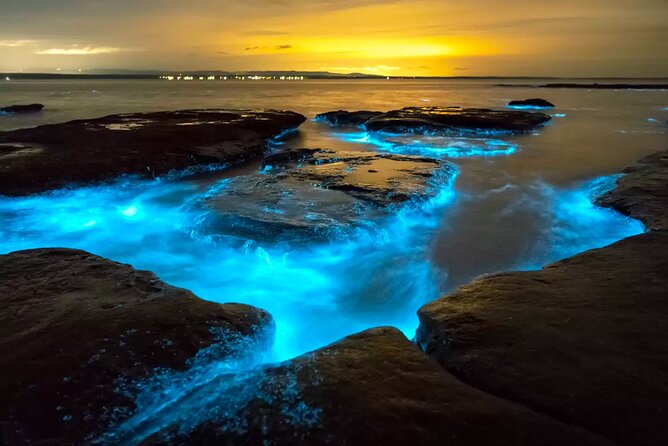 Grand Cayman Bioluminescent Bay Adventure - Key points I’d focus on before you go