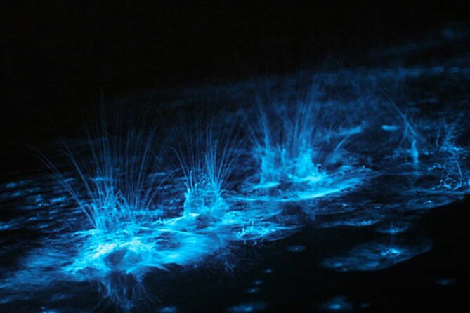 Grand Cayman Bioluminescent Bay Adventure - Starfish Point at dusk, then Cayman Kai Bio Bay lights