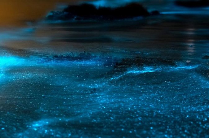 Grand Cayman Bioluminescent Bay Adventure - What the crew actually does to make it feel special