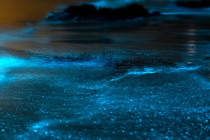 Grand Cayman Bioluminescent Bay Adventure - Weather, mosquitoes, and photo expectations you should set now