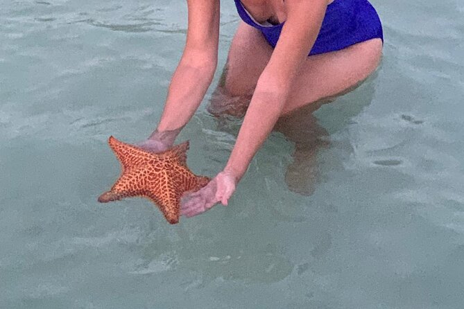Grand Cayman - Bioluminescent Bay Tour - Price and What You Actually Get for $95