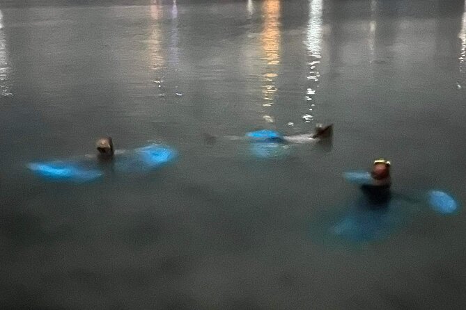 Grand Cayman - Bioluminescent Bay Tour - Snorkeling Gear, Safety Gear, and What to Expect in the Water