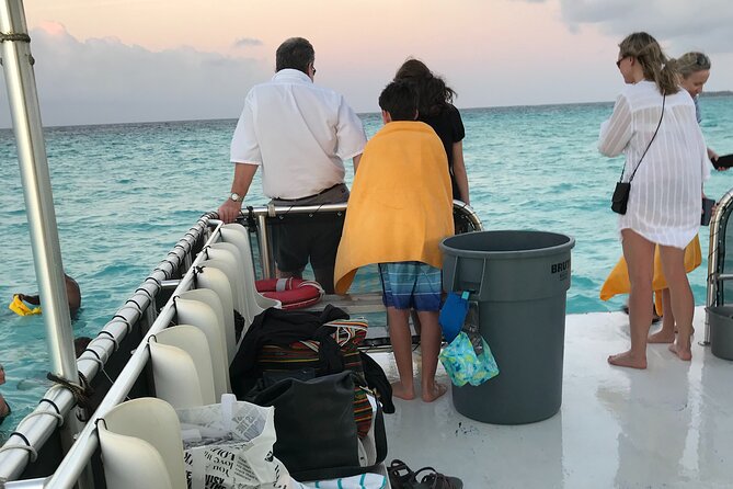 Grand Cayman - Bioluminescent Bay Tour - Guides and the Photo Factor: Getting the Most Out of the Glow