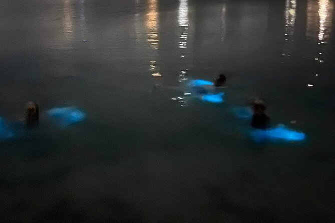 Grand Cayman - Bioluminescent Bay Tour - Weather, Moon, and Cancellation: What You Can Control